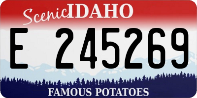 ID license plate E245269