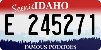 ID license plate E245271