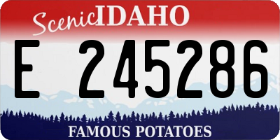 ID license plate E245286