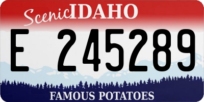ID license plate E245289