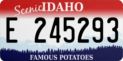 ID license plate E245293