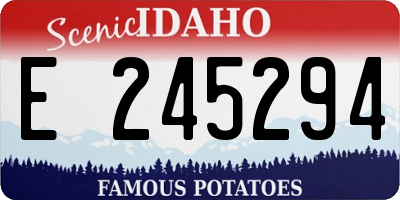 ID license plate E245294