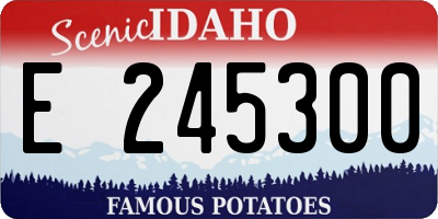 ID license plate E245300