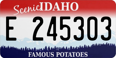 ID license plate E245303