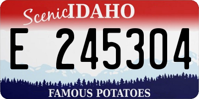ID license plate E245304