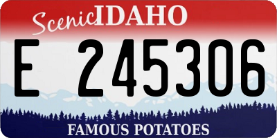 ID license plate E245306