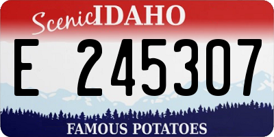 ID license plate E245307