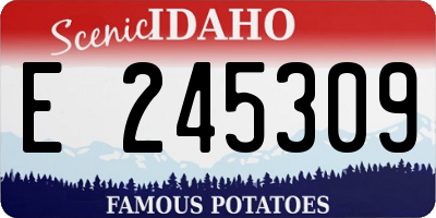 ID license plate E245309
