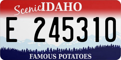 ID license plate E245310