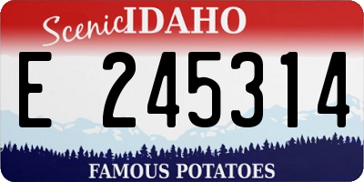 ID license plate E245314