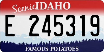 ID license plate E245319