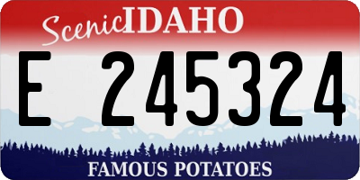 ID license plate E245324