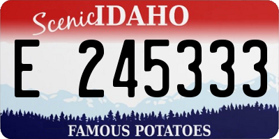 ID license plate E245333