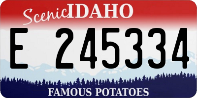ID license plate E245334