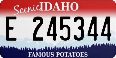 ID license plate E245344
