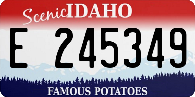 ID license plate E245349