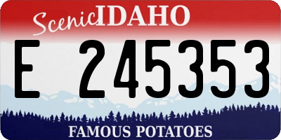 ID license plate E245353