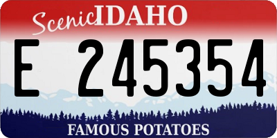 ID license plate E245354