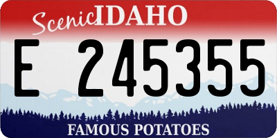 ID license plate E245355
