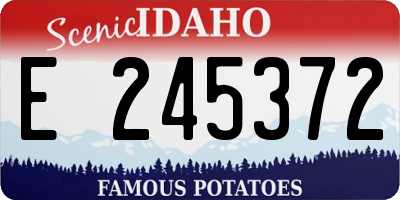 ID license plate E245372