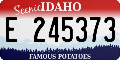 ID license plate E245373
