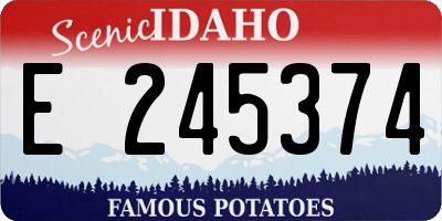 ID license plate E245374