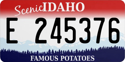 ID license plate E245376