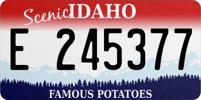 ID license plate E245377