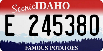 ID license plate E245380