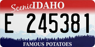 ID license plate E245381