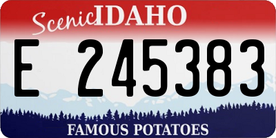 ID license plate E245383