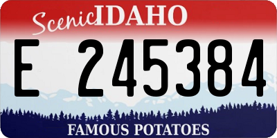 ID license plate E245384