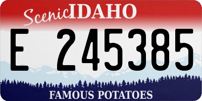 ID license plate E245385