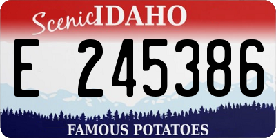ID license plate E245386
