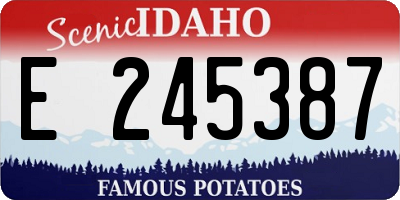 ID license plate E245387