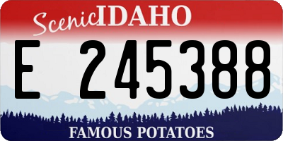 ID license plate E245388