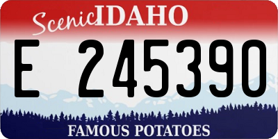 ID license plate E245390
