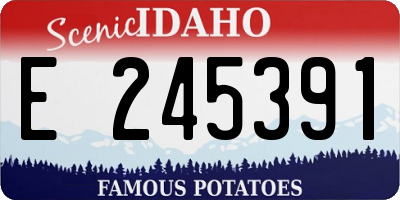 ID license plate E245391