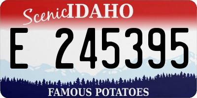 ID license plate E245395