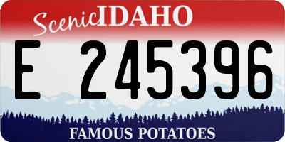 ID license plate E245396