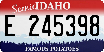 ID license plate E245398