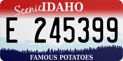 ID license plate E245399