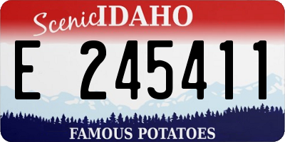 ID license plate E245411