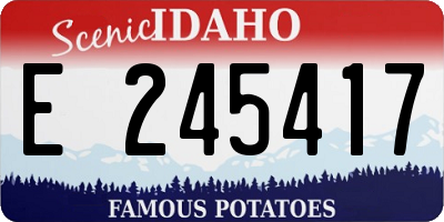 ID license plate E245417