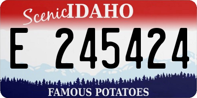 ID license plate E245424