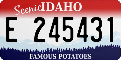 ID license plate E245431