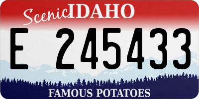 ID license plate E245433