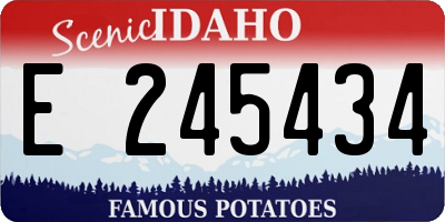ID license plate E245434
