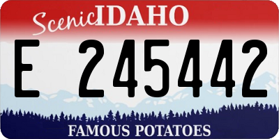 ID license plate E245442
