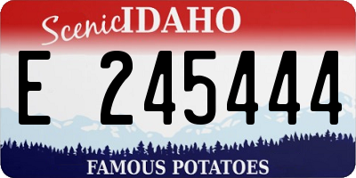 ID license plate E245444